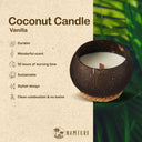 Tropical fruit coconut candle